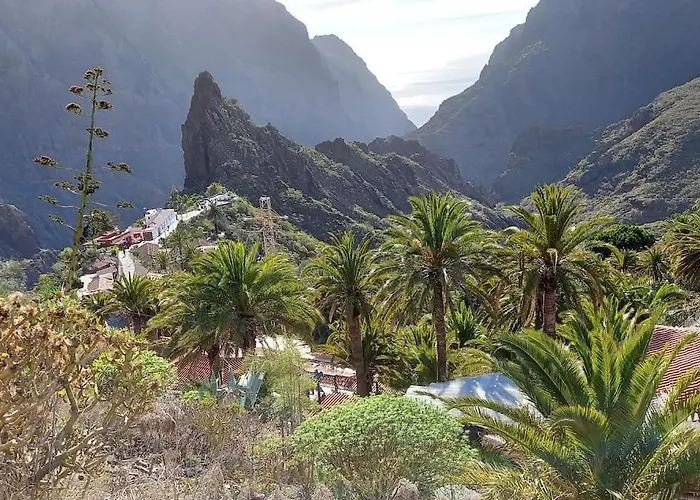 South Side Paradise *