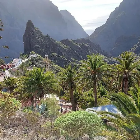 South Side Paradise *